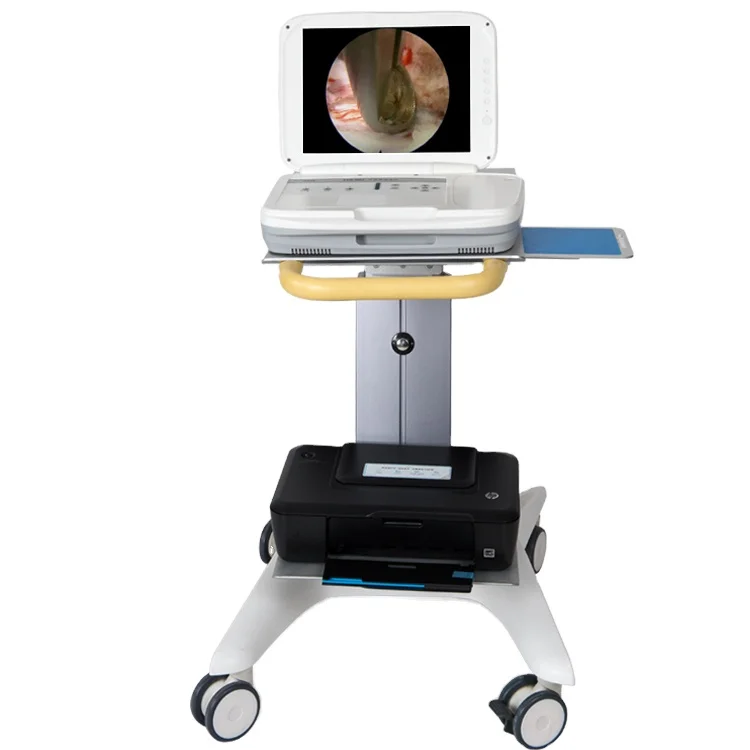Medical Lab Images - YKD-9003 – портативная интегрированная эндоскопическая система